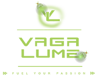 vaga-lume-logo_cardnew-01-1